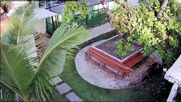 4-Quintal